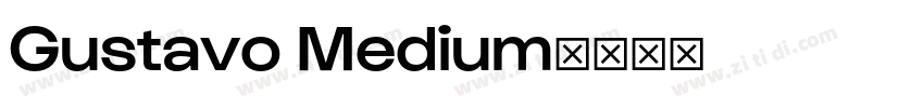 Gustavo Medium字体转换